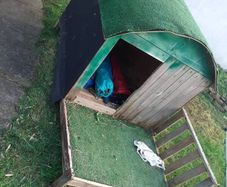 Dog House