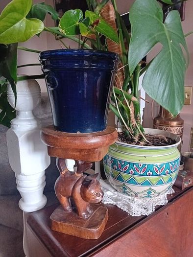 hardwood thai cat plant stand