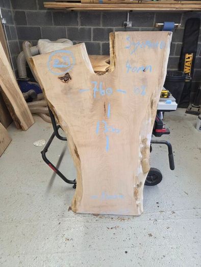Live Edge Sycamore slab