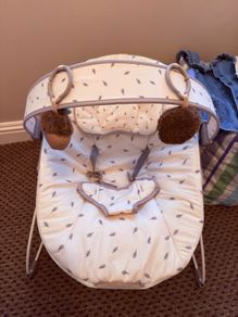 Baby bouncer