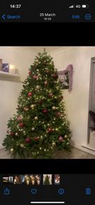 Christmas tree