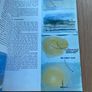 Learn to Paint Boats and Harbours Image 6