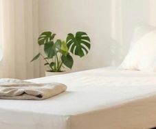 Foldable cardboard single bed