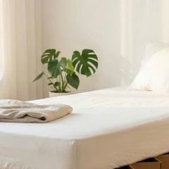 Foldable cardboard single bed