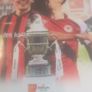 FAI Men's Cup Finals Image 10