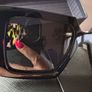 Prada sunglasses Image 3