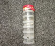 assorted screws