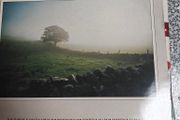 Green Fields of Home  LP, Irish Folk compilation, Fureys, Foster and Allen, De Danann