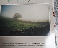 Green Fields of Home  LP, Irish Folk compilation, Fureys, Foster and Allen, De Danann