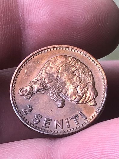 Tonga 2 Seniti 1967 Giant Tortoise Low mintage