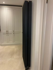 Anthracite double column radiator