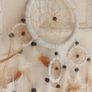 Big White Dreamcatcher Spiritual Holistic Image 2