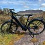 Premium Kuma SX - 80Nm - Belt - Enviolo - E-Bike Image 3