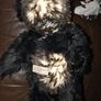 Charlie bear Connie Image 2