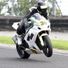 waynes36