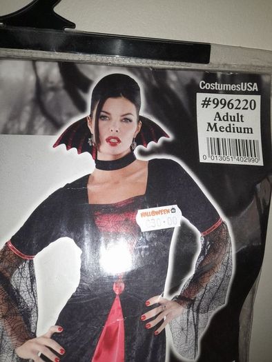 Ladies Halloween costume