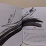 Kensuke,s Kingdom By Michael Morpurgo Hardback Image 7