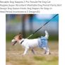 Dog Diapers /Reusable Nappies Image 7
