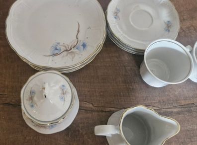 Bavarian Porcelain 14 piece tea set