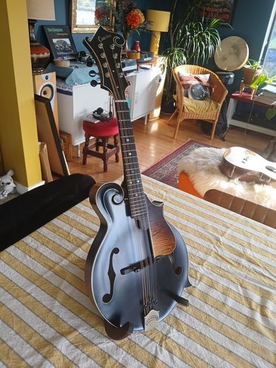 Coostar F5 Mandolin