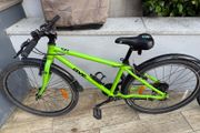 Frog Bike