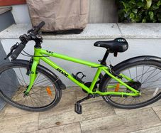 Frog Bike