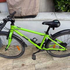 Frog Bike