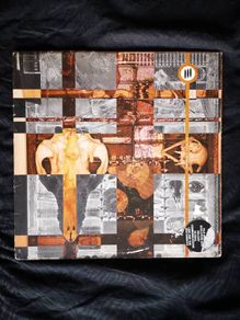 Global Communication - The Theory Of Evolution LP Warp