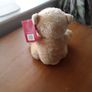 brand new teddy bear Image 2
