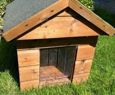 Cat or Small dog house
