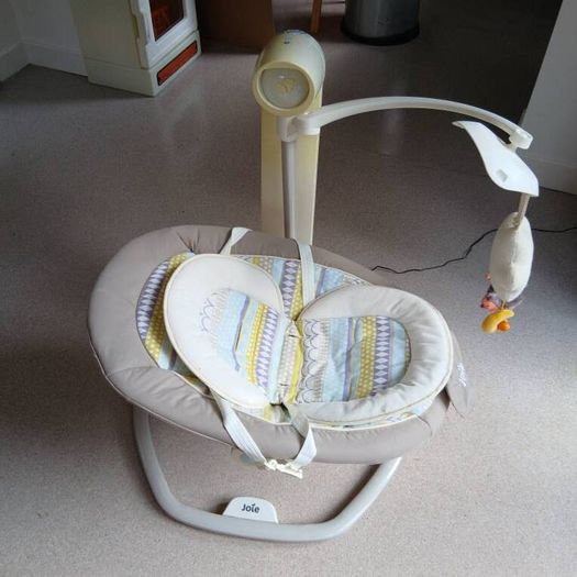 Joie Serina Swivel Swing
