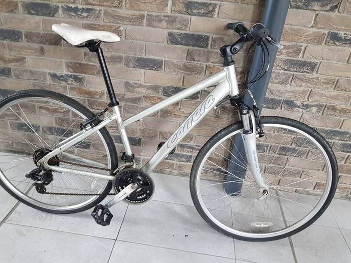 ladies bike( can deliver)