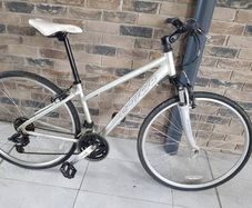 ladies carrera( can deliver)