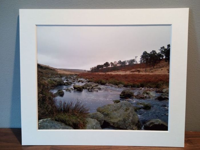 Mounted Original Photography - Coronation Plantation, Wicklow