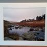 Mounted Original Photography - Coronation Plantation, Wicklow Image 2