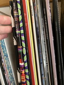 40+ Vinyl collection - Animal Collective, Bon Iver, Flying Lotus, Kiasmos, Mogwai, Radiohead, Wilco, Wolf Parade + More