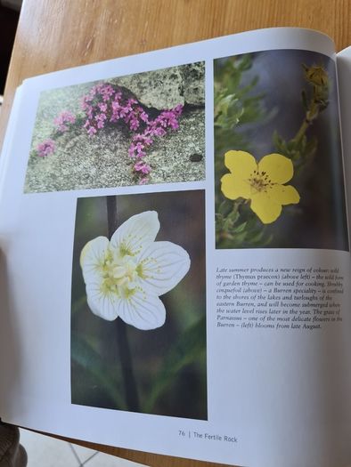 The Fertile Rock. Seasons In The Buren. By Carsten Kriegar.. Beautiful  Photographic  Seens Of The Buren. LARGE VOLUME BOOK.
