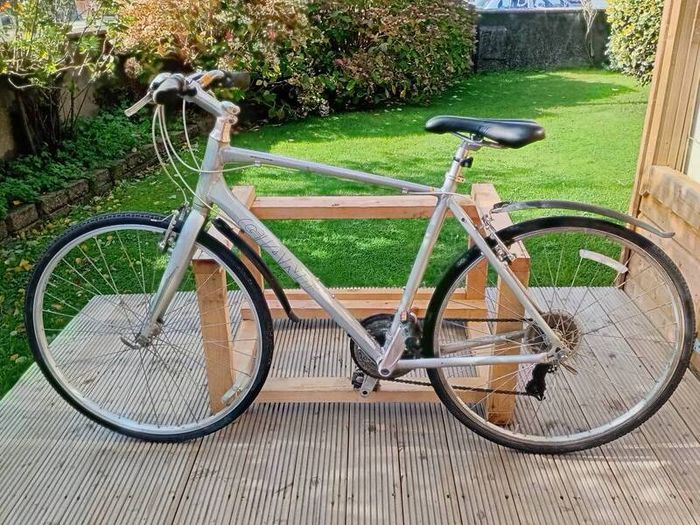 adults bike