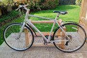 adults bike