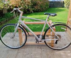adults bike