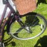 Ladies Bicycle Image 6