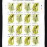 2009 Ireland Flora & Fauna: Dragonflies Commemorative Stamp Sheetlet Plate 1B1B1B1B Fine CDS Used with Dublin cancel of 16th December 2009 (First day of issue) Image 2