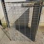 Dog kennel & XLarge Crate Image 5