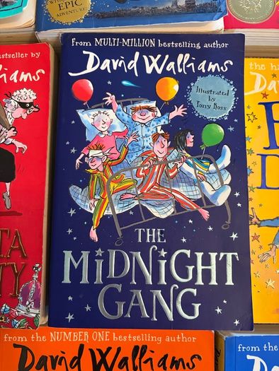 Various David Walliams Books