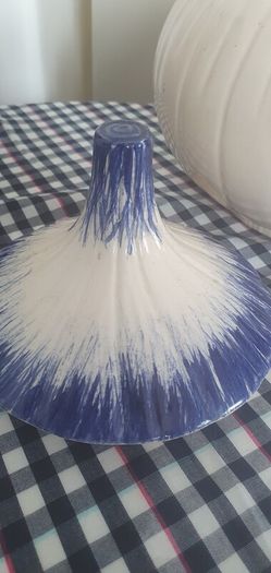 Onion pot