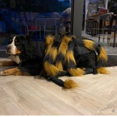 XL dogs - spider costume