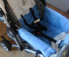 pierre cardin buggie