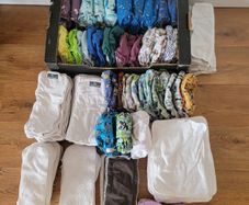 All-You-Need Bundle of Little Lamb & Green Cheeks Nappies