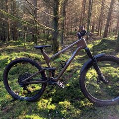Radon Slide 8.0  Carbon Trail Mountain Bike