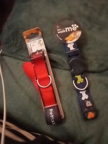 2 large dog collars